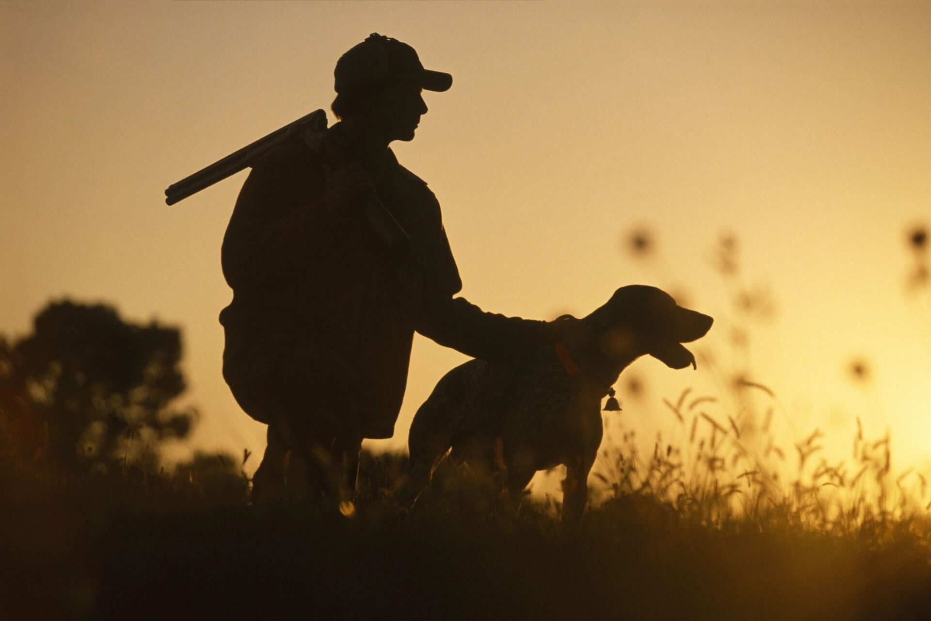 Experience Excellence at Gilbert Indoor Range